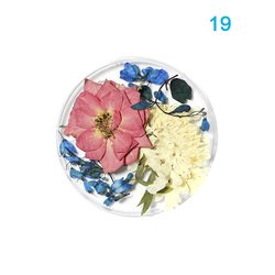 19#