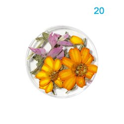20#