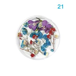 21#