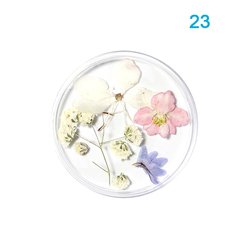 23#