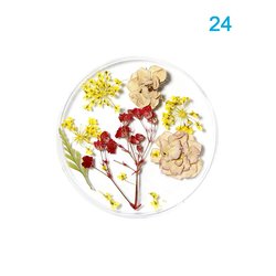 24#