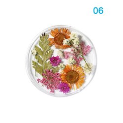 06#