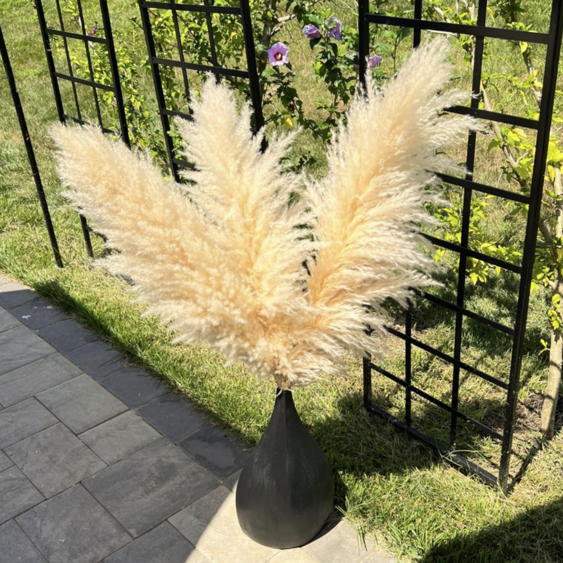 Large 4ft Tall Fluffy Natural Dried Pampas Grass Trending Decor Home Shower Wedding Farmhouse Boho Rustic Decor