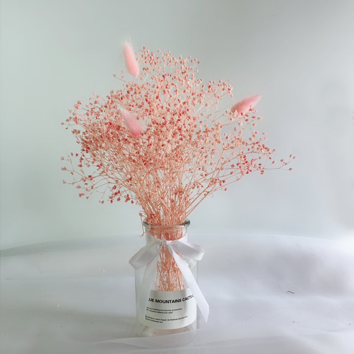 Preserved Flowers Natural Dried Flower Dreamy Star Mini Gypsophila For Wedding Home Flower Bouquet Decor