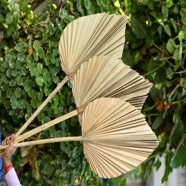 Preservative Palm Spear Cut Leaves Dry Material Artificial Flowers for Wedding and Christmas Decoration