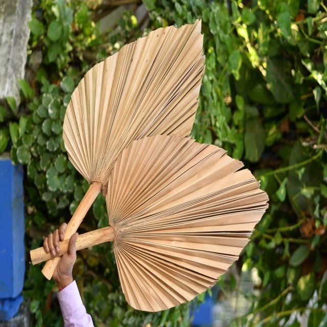 Preservative Palm Spear Cut Leaves Dry Material Artificial Flowers for Wedding and Christmas Decoration