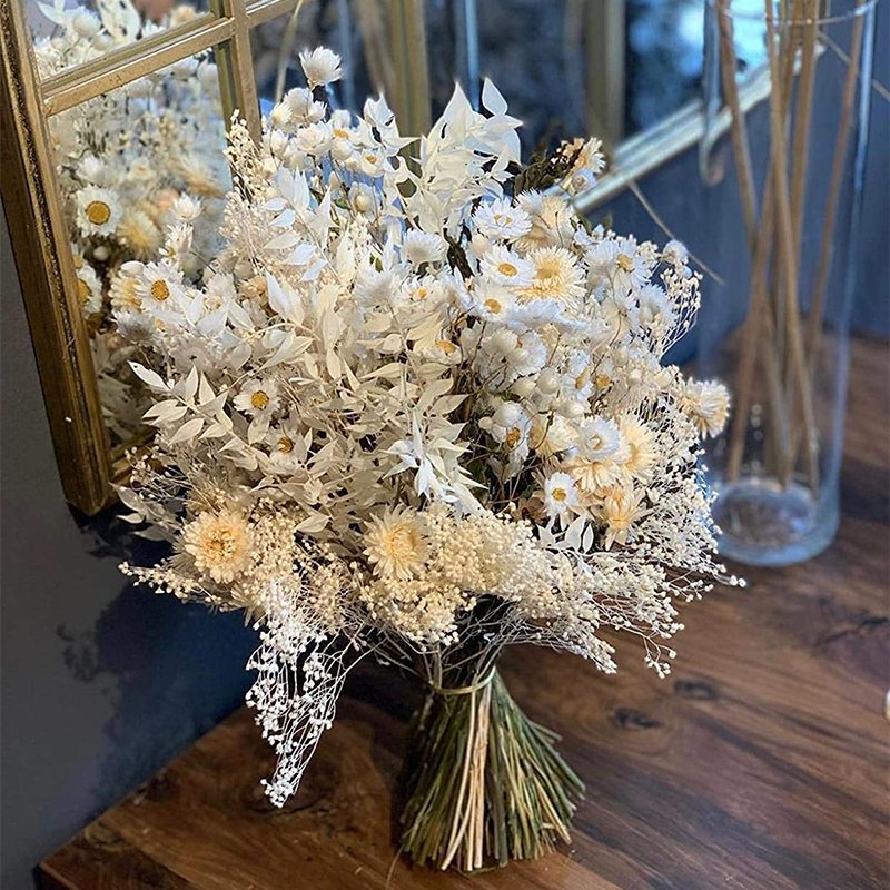 Fall Decor Preserved Flowers Dried Flowers Ruscus Preserved