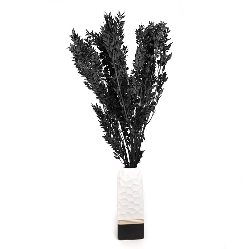Fall Decor Preserved Flowers Dried Flowers Ruscus Preserved