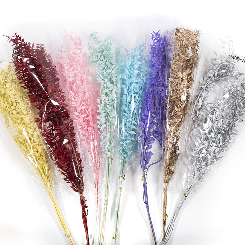 Fall Decor Preserved Flowers Dried Flowers Ruscus Preserved