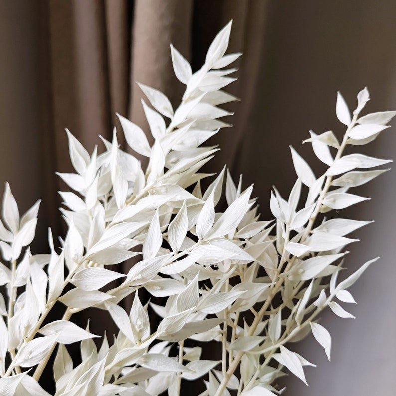 Hot Selling Fall Decor Dried Flowers Italian Ruscus for Bouquets