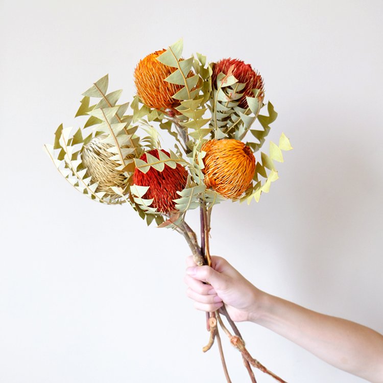 Sumflora garden decoration material dried flowers bouquet dry flowers banksia