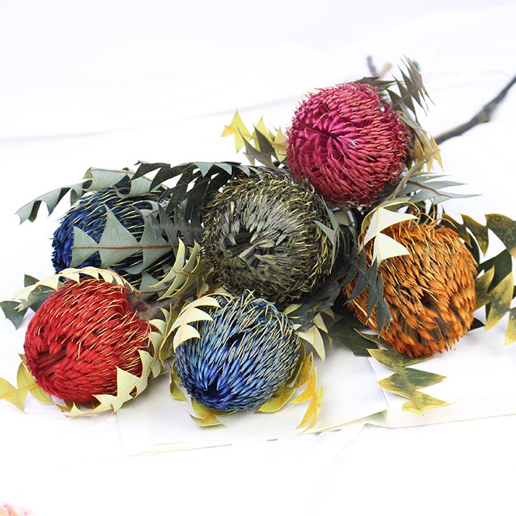 Sumflora garden decoration material dried flowers bouquet dry flowers banksia