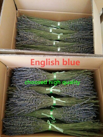 2017 Natural Dried sky deep blue purple Lavender Flower 35cm