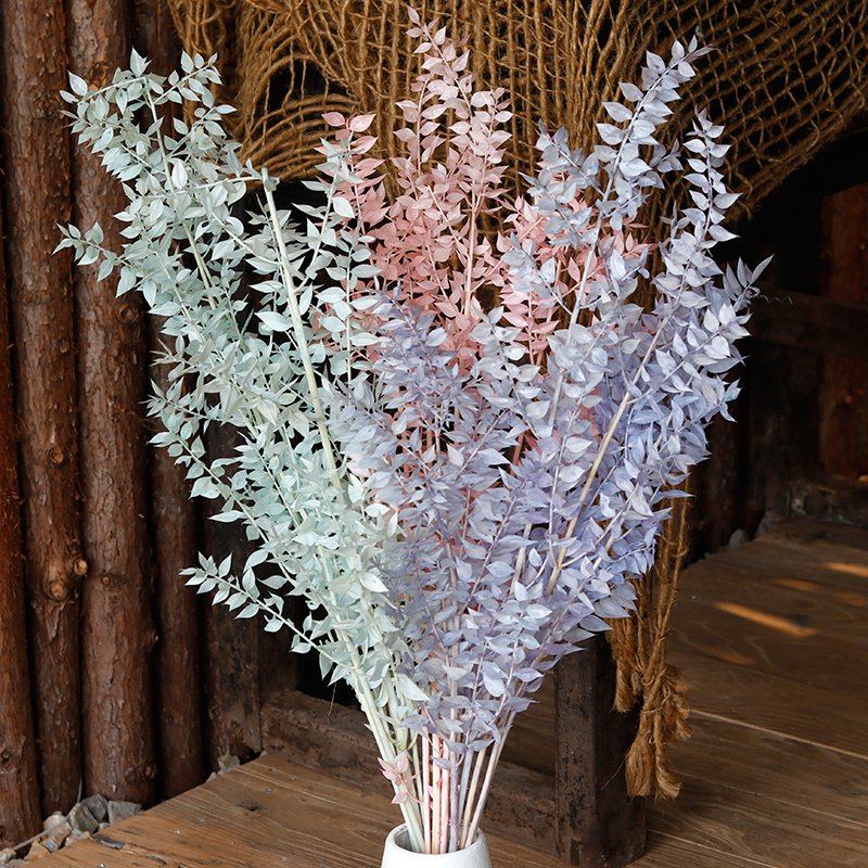 GH-082 wholesale dried flower materials green leaf dracaena sanderiana lucky bamboo white ruscus leaves home decoration