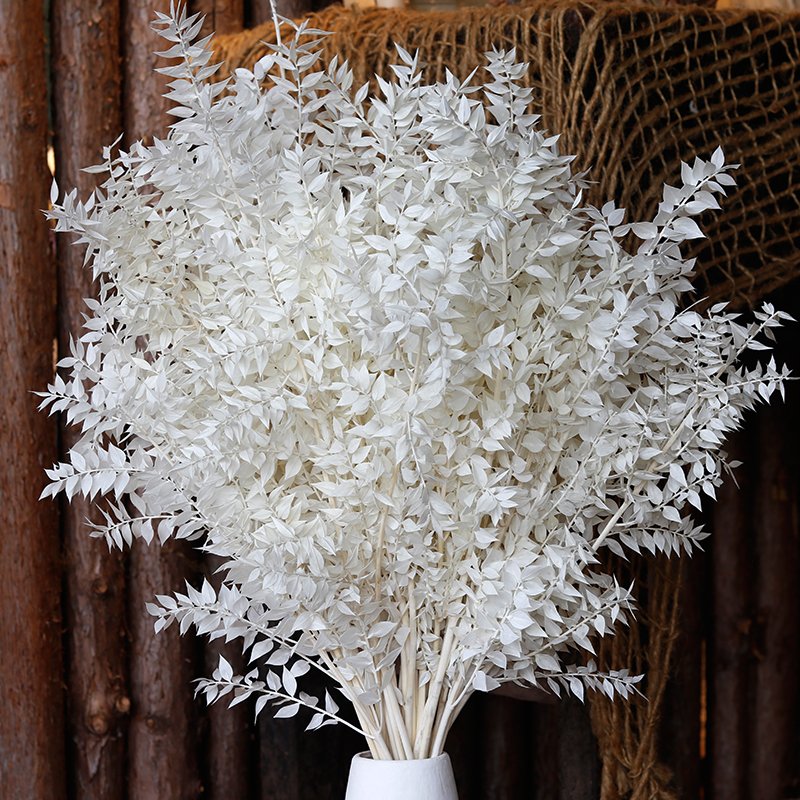 GH-082 wholesale dried flower materials green leaf dracaena sanderiana lucky bamboo white ruscus leaves home decoration