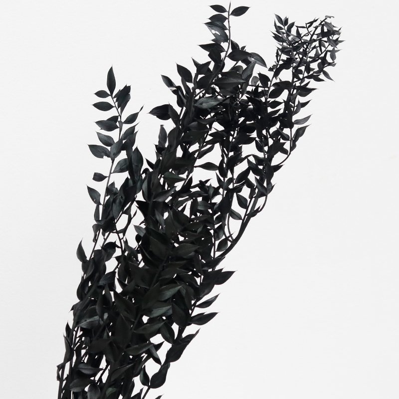 GH-082 wholesale dried flower materials green leaf dracaena sanderiana lucky bamboo white ruscus leaves home decoration