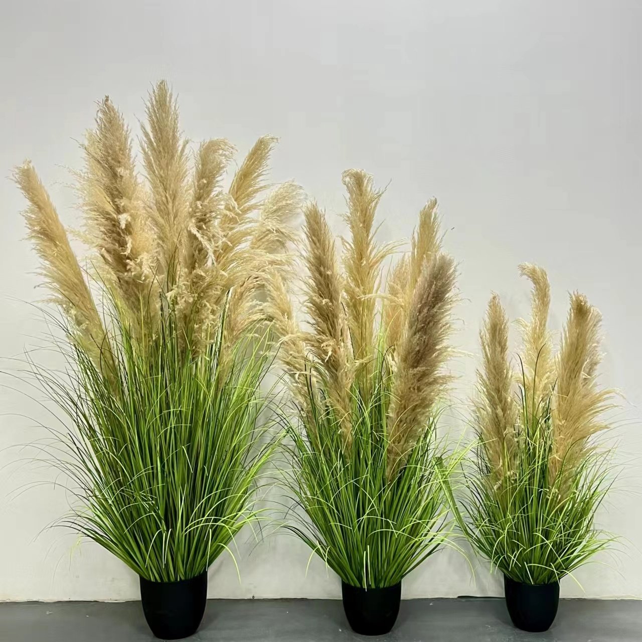 Pampas Grass Dried Flowers Hot Selling Home Wedding Decoration Fluffy Natural Reed Pampas Grass with pot