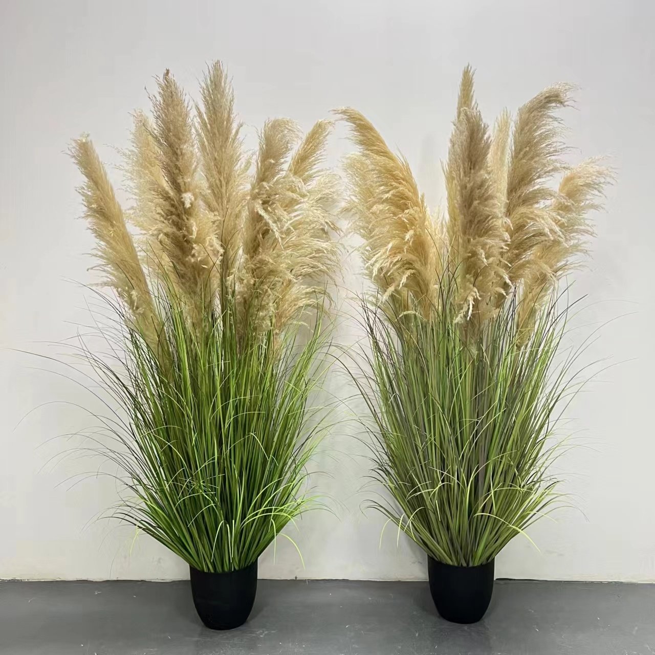 Pampas Grass Dried Flowers Hot Selling Home Wedding Decoration Fluffy Natural Reed Pampas Grass with pot