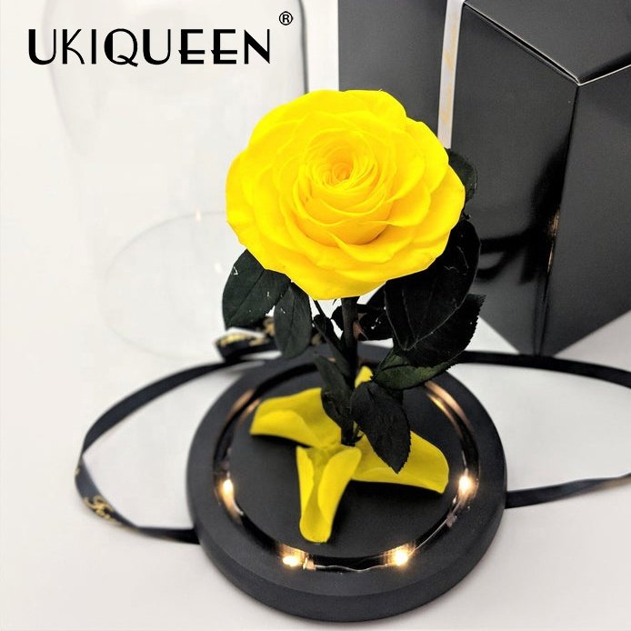 Hot 12*20cm Beauty Beast Belle LED Red Real Everlasting Decorative Flower Gift Box Forever Eternal Preserved Roses in Glass Dome