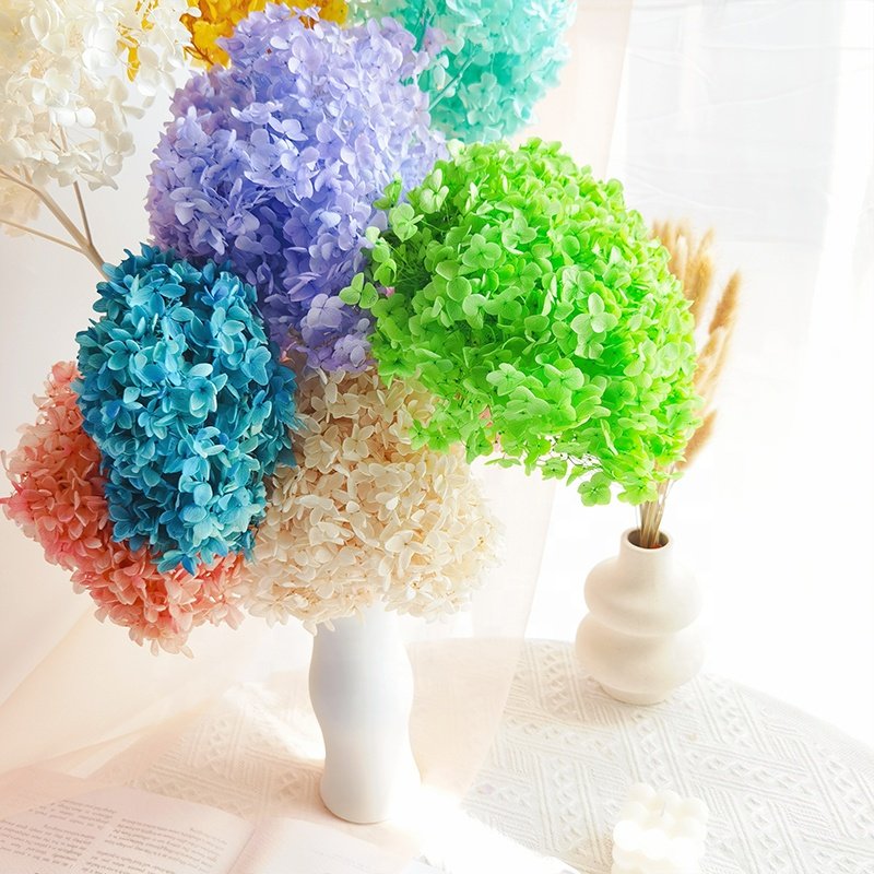 2023 Hot Wholesale Preserved Hydrangea Dried Flowers Bulky Dried Anna Hydrangea Flower Wedding Decorations Pagoda Hydrangea
