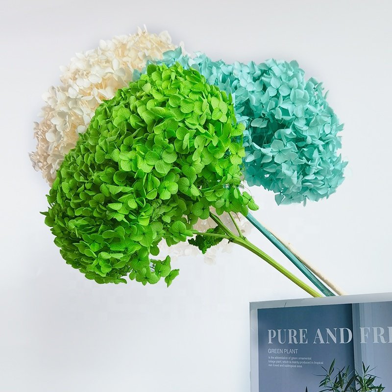 2023 Hot Wholesale Preserved Hydrangea Dried Flowers Bulky Dried Anna Hydrangea Flower Wedding Decorations Pagoda Hydrangea