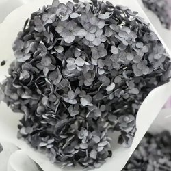 Smoky-gray