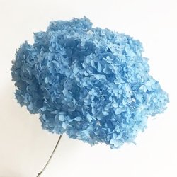 Wathet-Blue