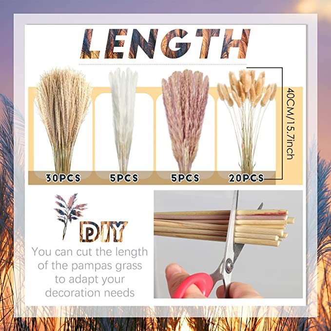 Valentines Gifts Boho Chic Home Decor Wedding Decoration Dried Flowers Bouquet Natural Dried Pampas Grass Phragmites Bouquet
