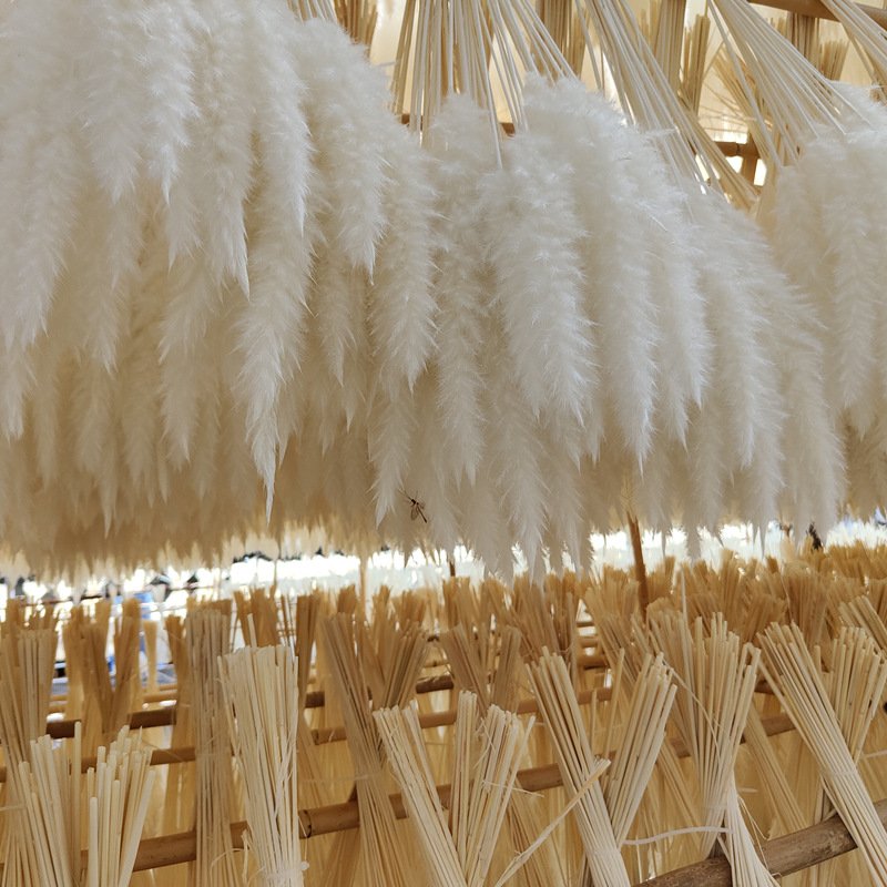 Valentines Gifts Boho Chic Home Decor Wedding Decoration Dried Flowers Bouquet Natural Dried Pampas Grass Phragmites Bouquet