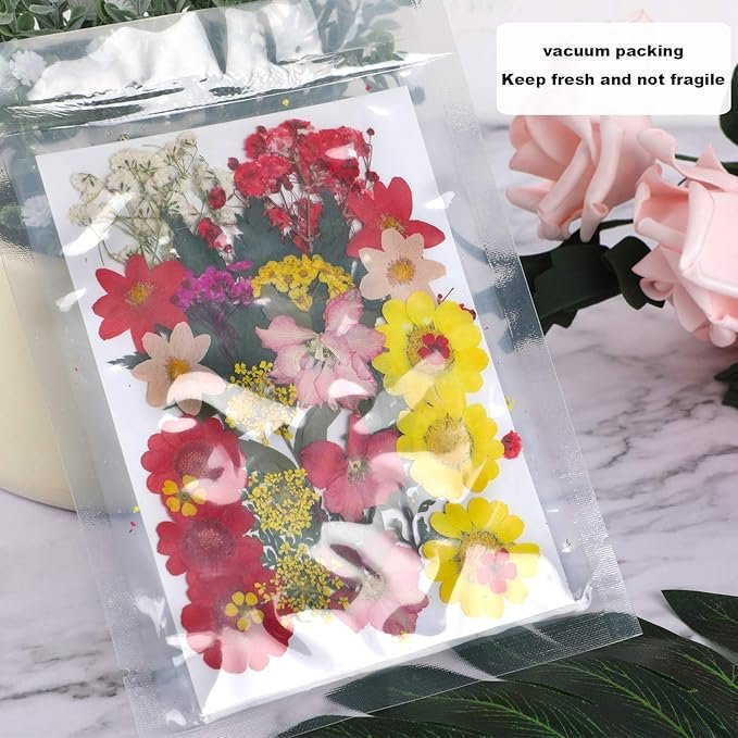 Dried Pressed Flowers for Resin Natural Dried Flowers for Jewelry Real Mixed Color Pressed Flowers for Nail Art Craft
