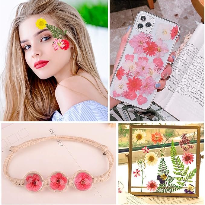 Dried Pressed Flowers for Resin Natural Dried Flowers for Jewelry Real Mixed Color Pressed Flowers for Nail Art Craft