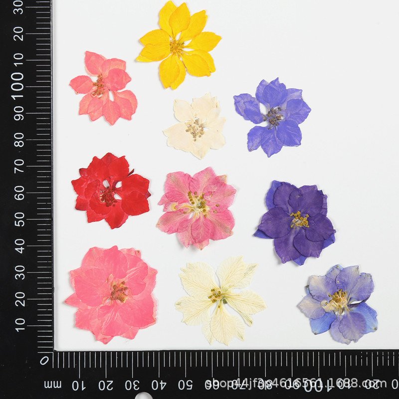 Blue Delphiniums and Delicate Baby's Breath Pressed Flowers Candles Dried Flowers for Candle