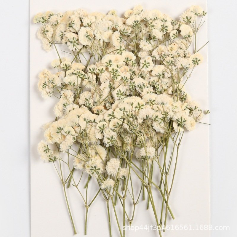 Blue Delphiniums and Delicate Baby's Breath Pressed Flowers Candles Dried Flowers for Candle