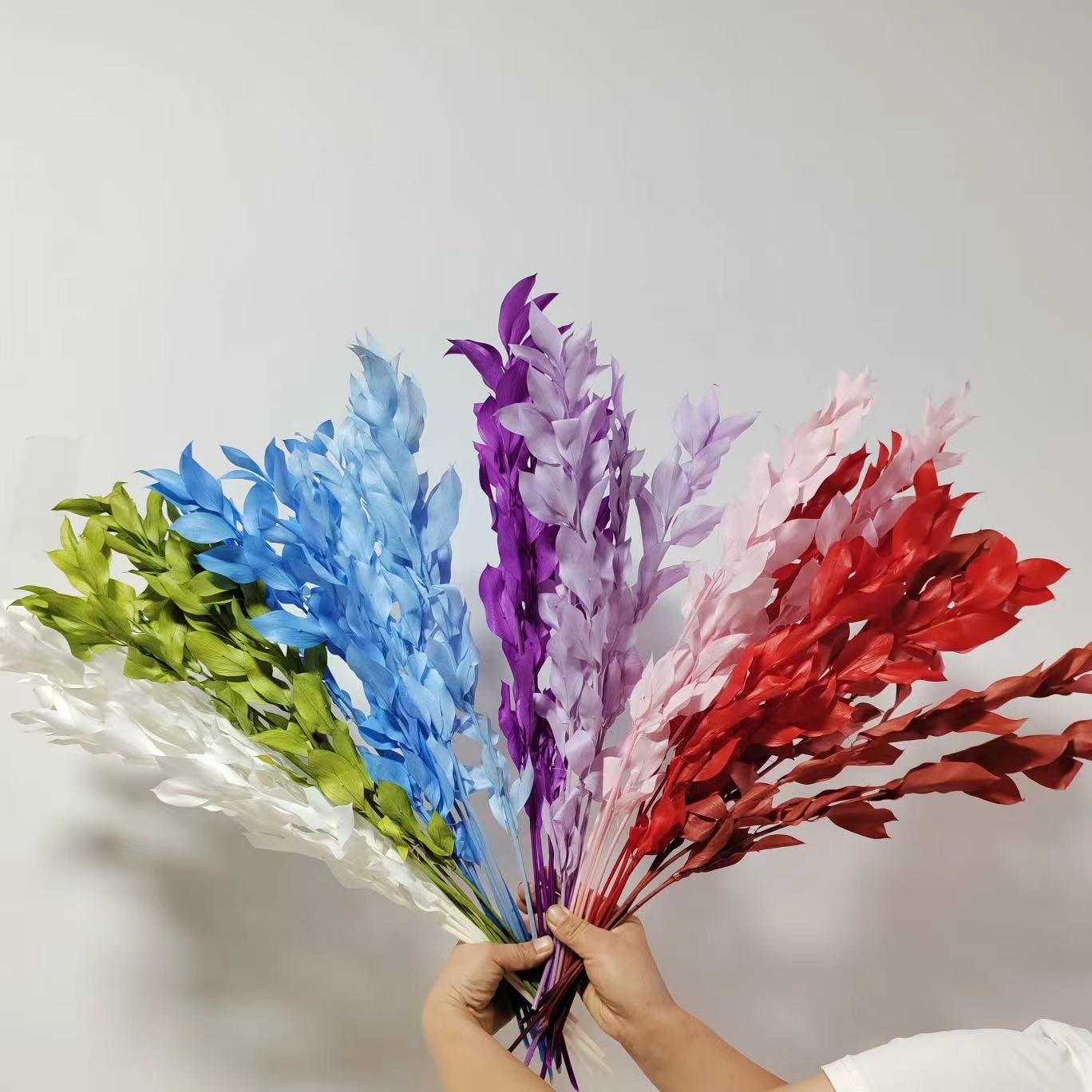 Factory Customized Wholesale Preserved Flowers and Plants Colorful Indian Ruscus flower For Wedding Decoration