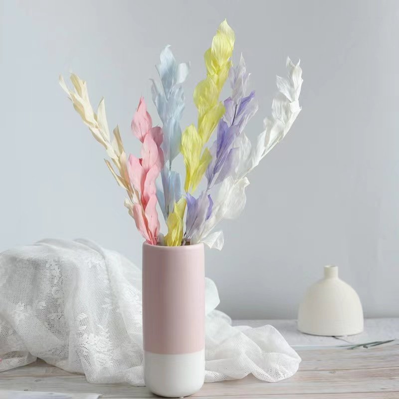 Factory Customized Wholesale Preserved Flowers and Plants Colorful Indian Ruscus flower For Wedding Decoration