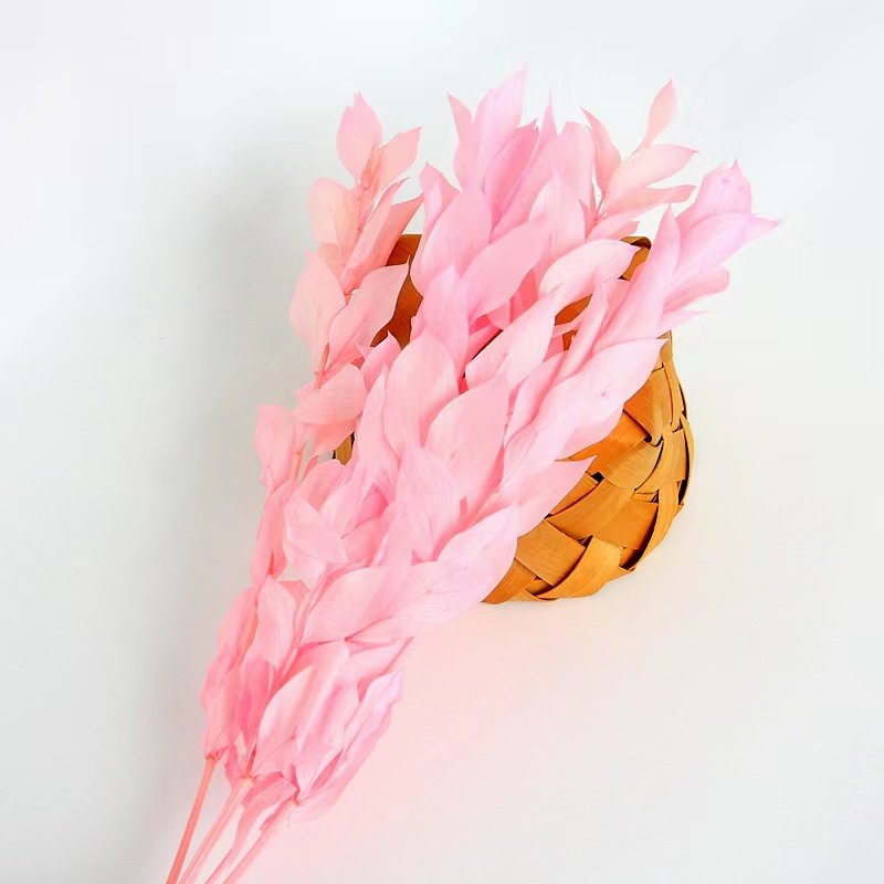 Factory Customized Wholesale Preserved Flowers and Plants Colorful Indian Ruscus flower For Wedding Decoration