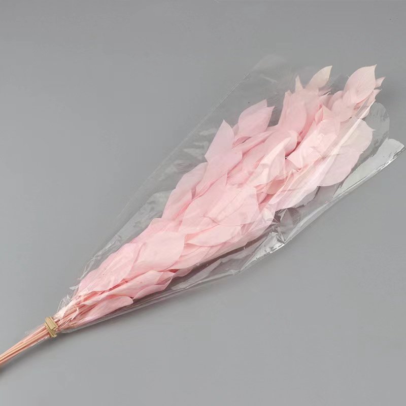Factory Customized Wholesale Preserved Flowers and Plants Colorful Indian Ruscus flower For Wedding Decoration