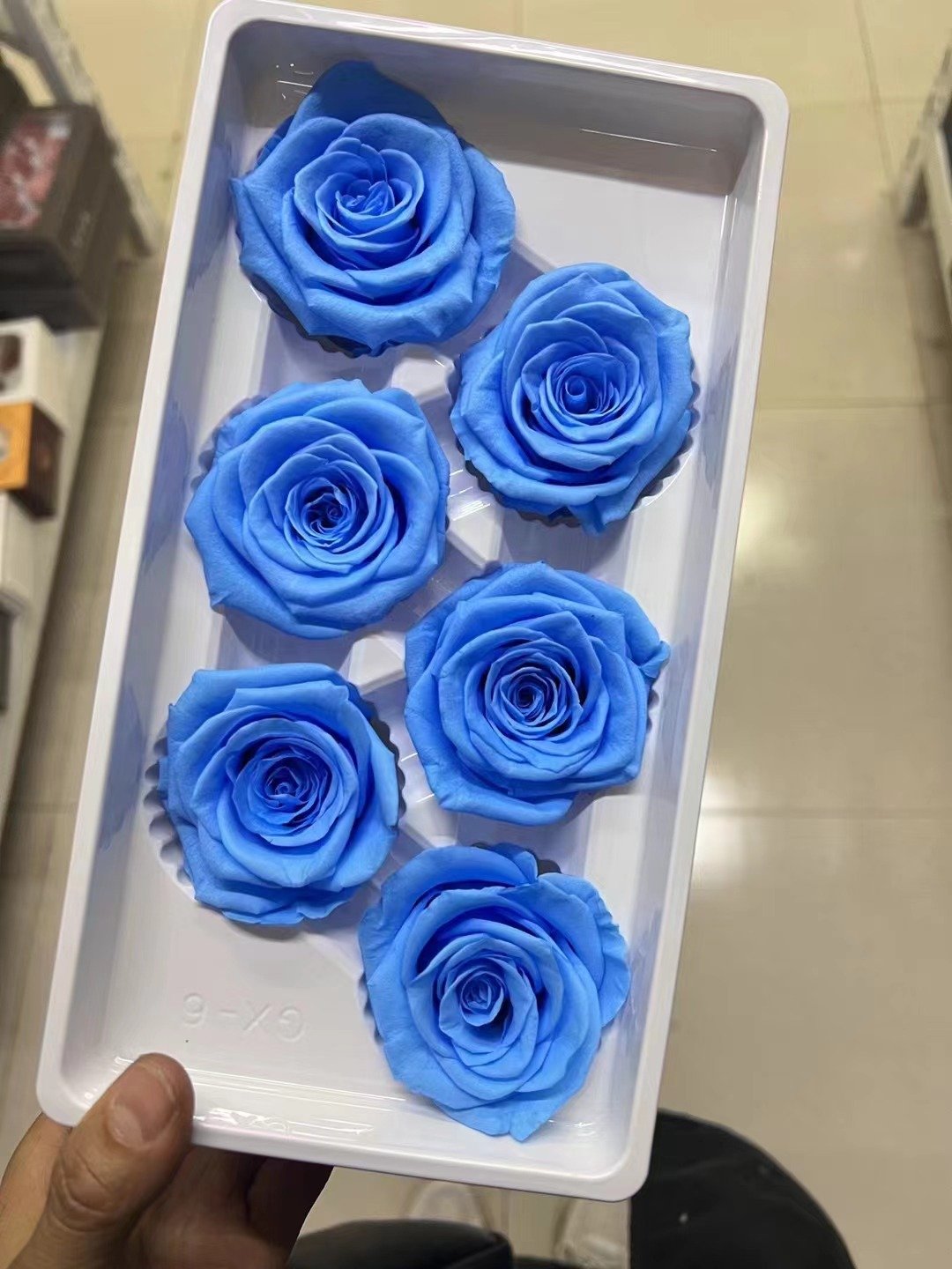 P-4 High Quality Preserved Roses 5-6 cm-Pack of 6 Colorful Preserved Roses Wedding decor Floral Arrangement flowers
