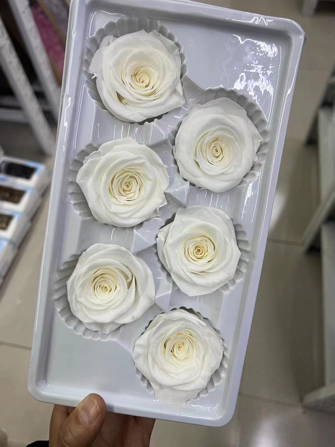 P-4 High Quality Preserved Roses 5-6 cm-Pack of 6 Colorful Preserved Roses Wedding decor Floral Arrangement flowers