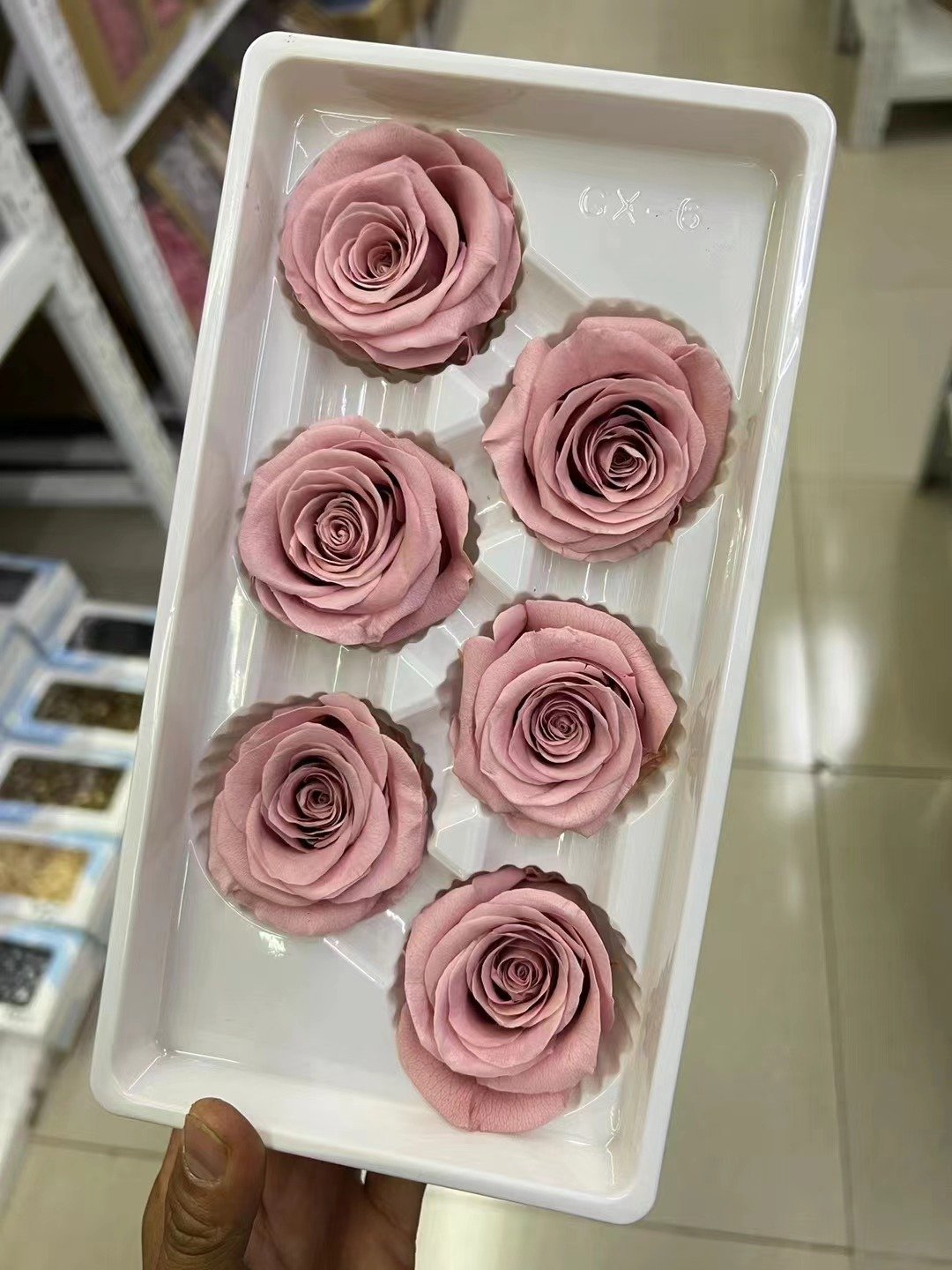 P-4 High Quality Preserved Roses 5-6 cm-Pack of 6 Colorful Preserved Roses Wedding decor Floral Arrangement flowers