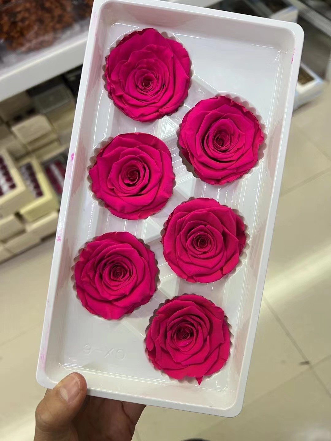 P-4 High Quality Preserved Roses 5-6 cm-Pack of 6 Colorful Preserved Roses Wedding decor Floral Arrangement flowers