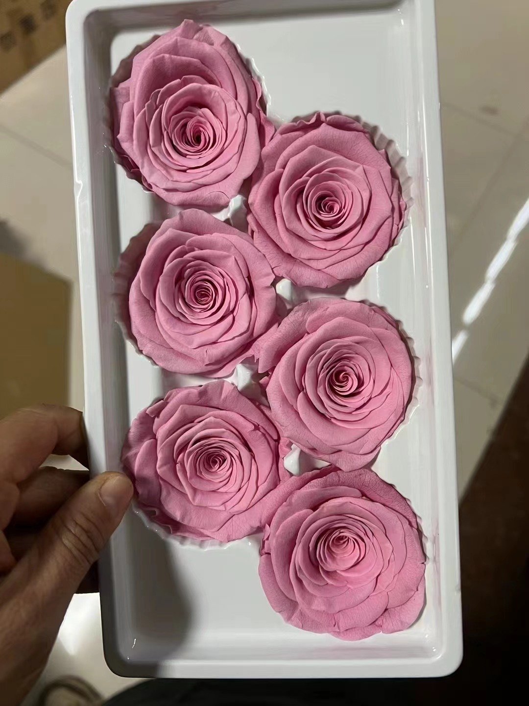 P-4 High Quality Preserved Roses 5-6 cm-Pack of 6 Colorful Preserved Roses Wedding decor Floral Arrangement flowers