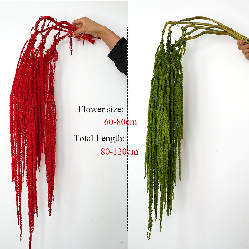 Wedding Decoration Dried Flowers Preserved Foliage Soft Real Touch Large Green White Amaranthus Preserved Hanging Amaranthus