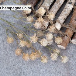 Champagne