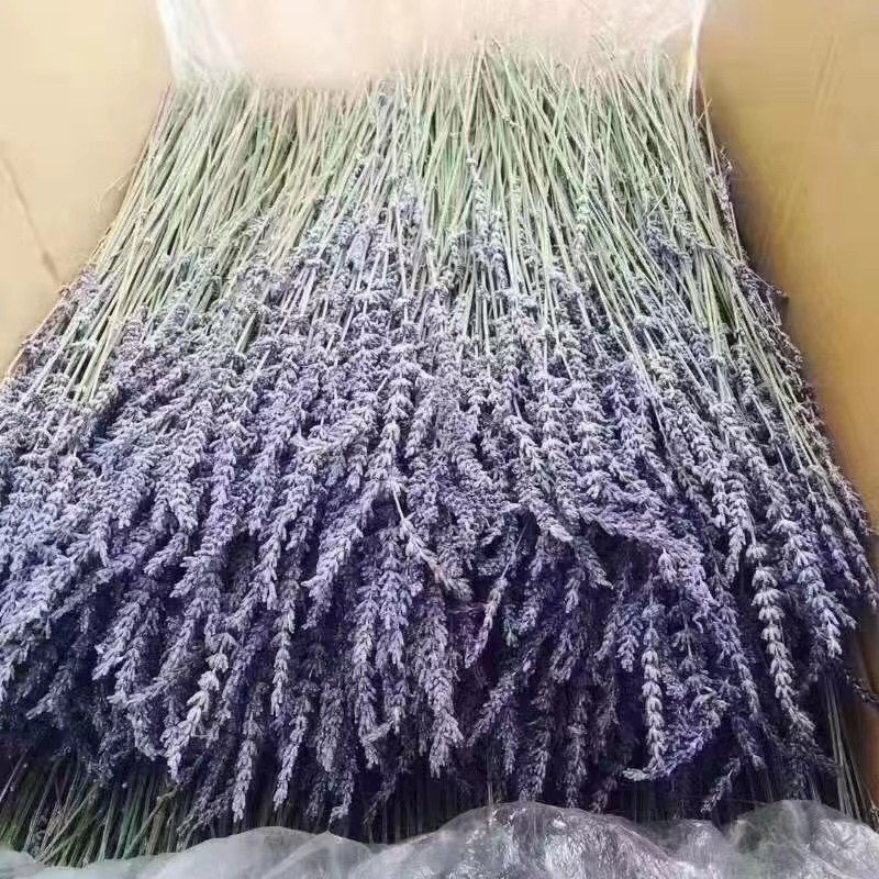 Dried Lavender Stems Dried Flowers Lavender Bunch Table Decor Fresh Centerpiece