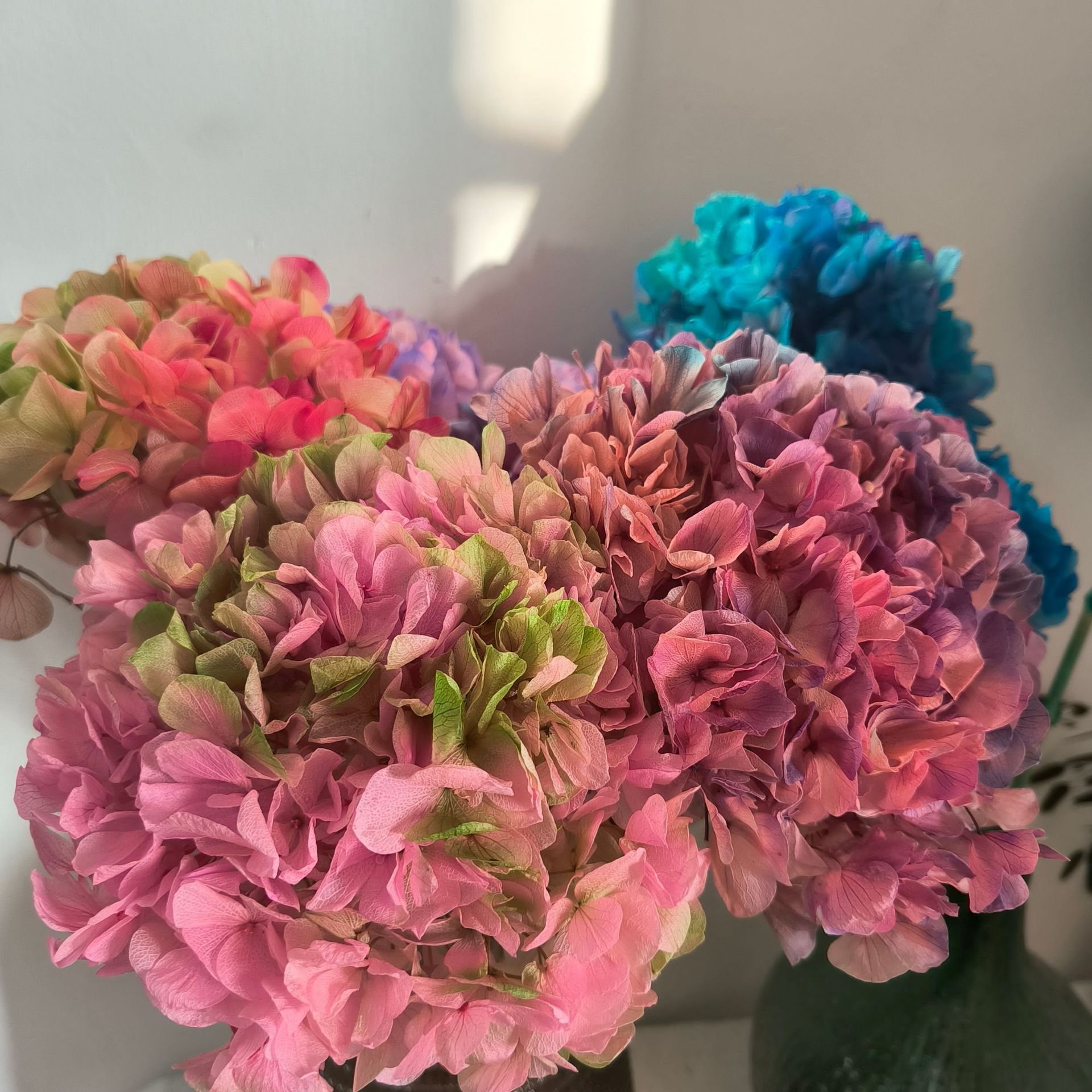 Wholesale 20 cm Preserved Big Leaf Hydrangea Flowers Dried Hydrangea Fot Wedding Decoration Blue Hydrangea Flowers