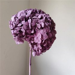 grape