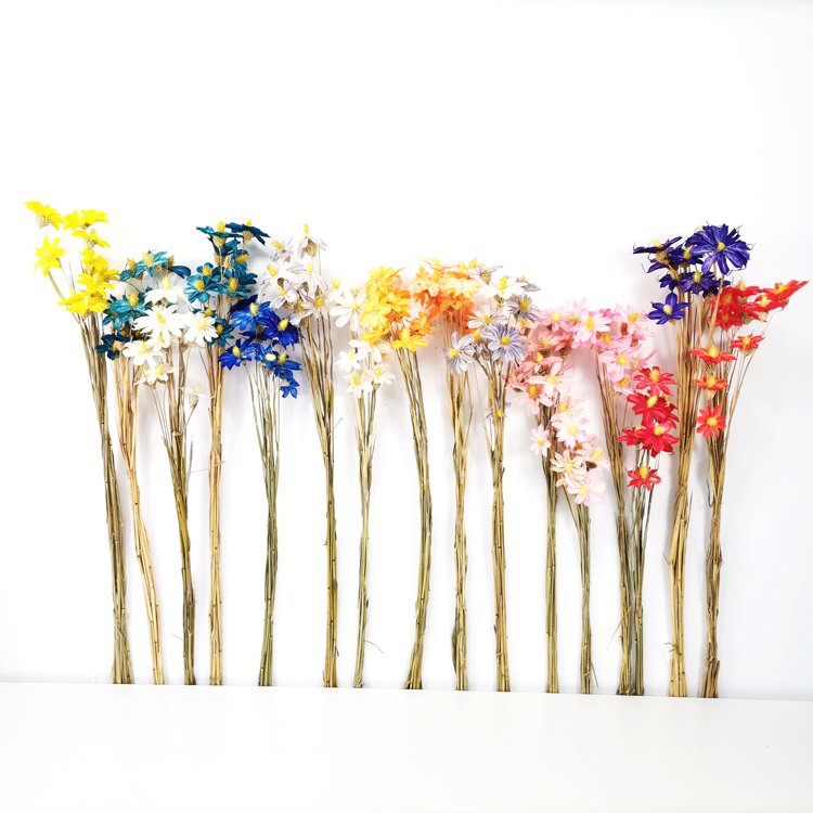 SumFlora Made In China High-Ranking Wooden Dried Flower orchid For Valentine's Day