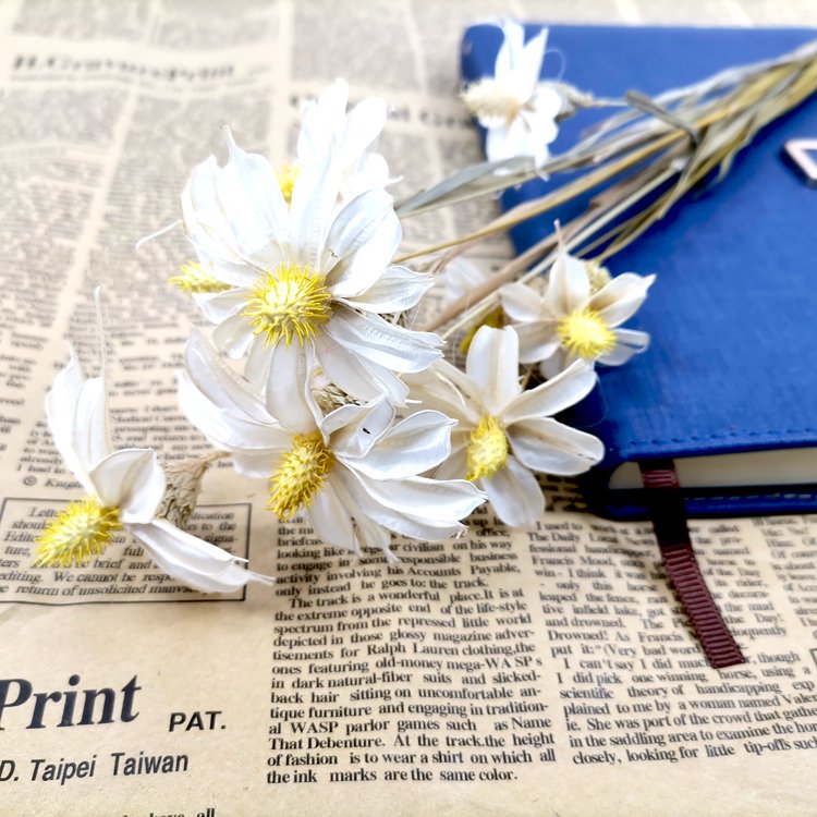 SumFlora Made In China High-Ranking Wooden Dried Flower orchid For Valentine's Day