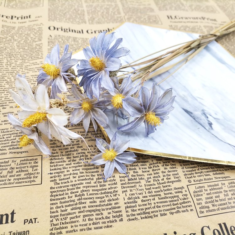 SumFlora Made In China High-Ranking Wooden Dried Flower orchid For Valentine's Day